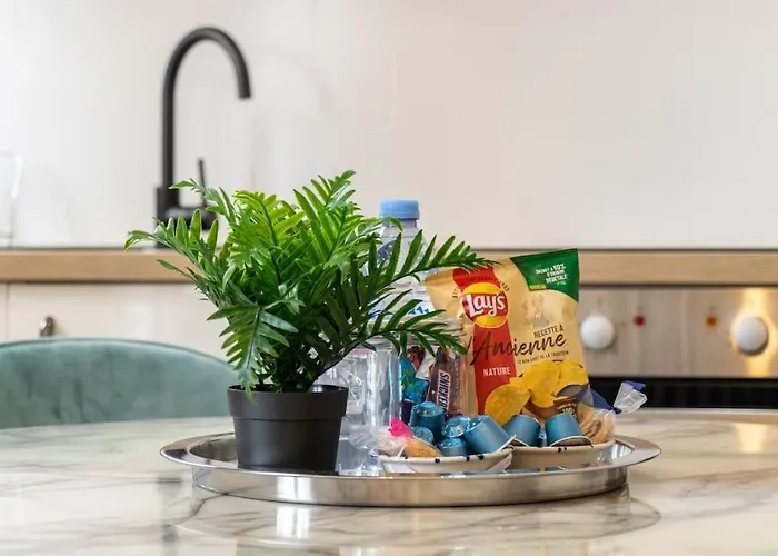 B1#two Bedrooms#champs Elysees#arc De Triomphe#ac Paříž